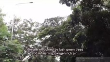 DAAI TV: From Indonesia with Love "Jakarta Edition" (English Subtitle)