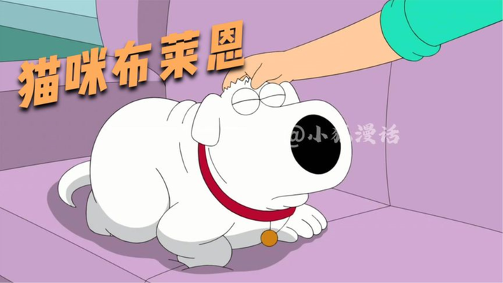Family Guy: Brian sebenarnya punya gen kucing? Pandangan Dumpling terhadap Brian Gene!