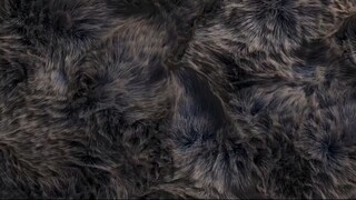 『酥油饼の纱布』完美的体态与绝妙的身姿◎健康美观体态（含矫正）+理想身材（含身高）