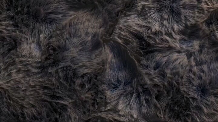 『酥油饼の纱布』完美的体态与绝妙的身姿◎健康美观体态（含矫正）+理想身材（含身高）