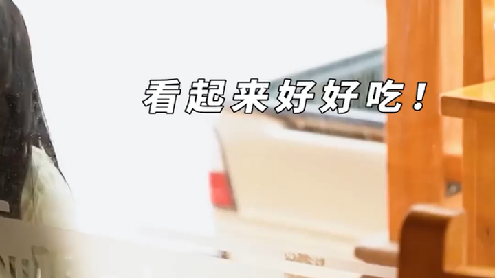 There’s always a ray of light that gives you the strength to keep going #TouchingMoment #Heartbreaki