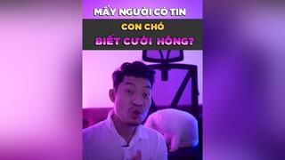 Con chó biết cười???? pet dcgr tuitienpet