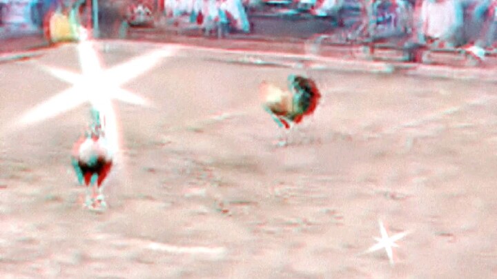 #champion 🔥🔥🔥