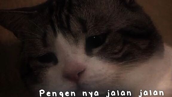lagi galau