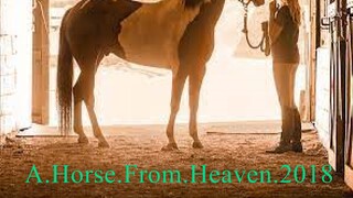 A.Horse.From.Heaven.2018