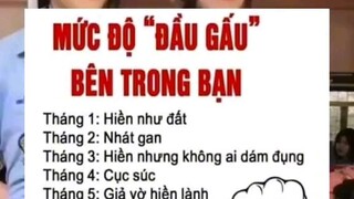 mức độ "đầu gấu" của 12 tháng sinh