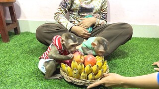 Mino and Lay Heang enjoyed fruits and Play while Coconut sleep