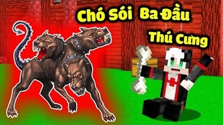 REDHOOD TROLL BÀ PHÙ THUỶ BẰNG CHÓ SÓI BA ĐẦU TRONG MINECRAFT REDHOOD CÓ THÚ NUÔI LÀ CON CHÓ BA ĐẦU