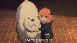 Anya ngambek, kalo gak di kasih guguk bakalan mogok sekolah🤣🤣