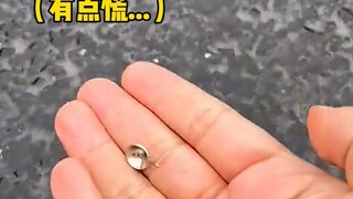 吃瓜前一定要注意看看自己是不是其中一块瓜...