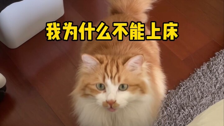 ทำอะไรเขาไม่ได้เลย!