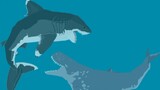 [Anime]Cuộc đối đầu giữa cá mập Megalodon và cá voi Melvillei
