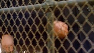 超高智商犯人靠一把指甲剪,逃出看守最严密的监狱，在他们眼里没有什么是不可能的