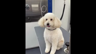 อะเลิท แปลว่า คึกคัก อะรัก แปลว่า ฮักคุณ