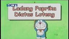 ladang parpika di atas loteng