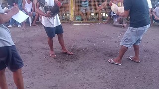 lost Tayo Jan( 05/ 27/ 25