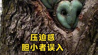 这个玩意很多人应该都不懂是什么吧！多少有点压迫感