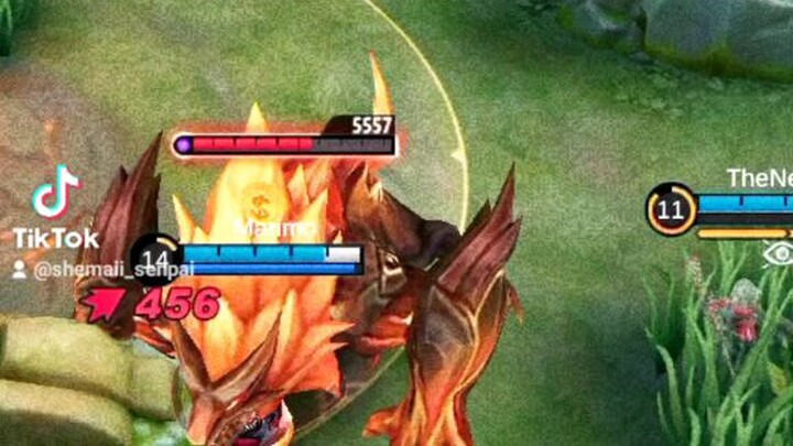 Agaw buff failed🤣