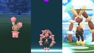 Shiny Buneary evolves into a Fighting Mega Lopunny. Shiny Flower Crown Eevee, Chansey in the wild!