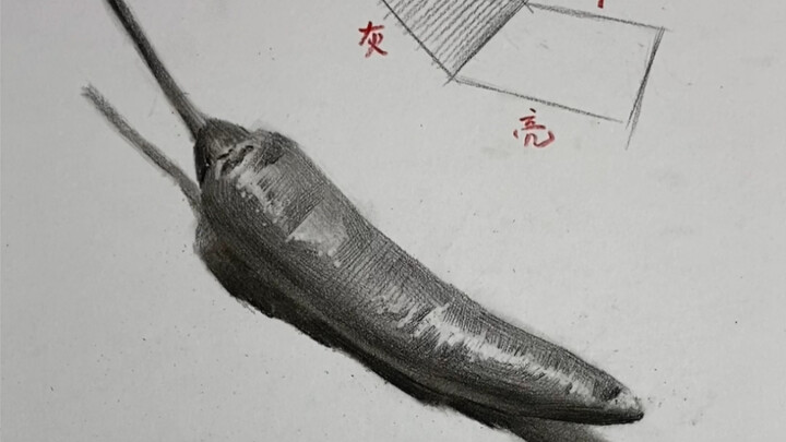 【ภาพสเก็ตซ์หุ่นนิ่ง】ของเล็กๆ ก็มีปริมาตรนะ — วิธีวาดพริกขี้หนู