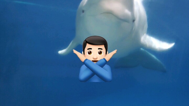 Mengintip si bayi paus putih ‘mandi’ malah dapat peringatan!