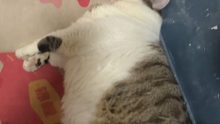 นอนมาทั้งวันแล้ว ไม่ได้ขยับเลย