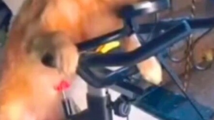 Ekspresi mata yang ingin membunuh seseorang memang tak bisa disembunyikan.