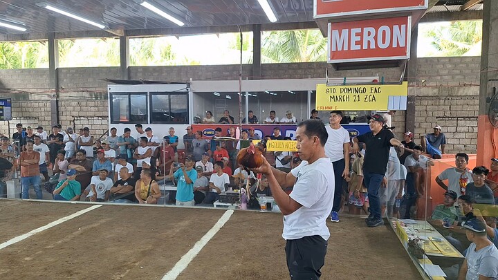 Feb 24 3hits NGCCA #1