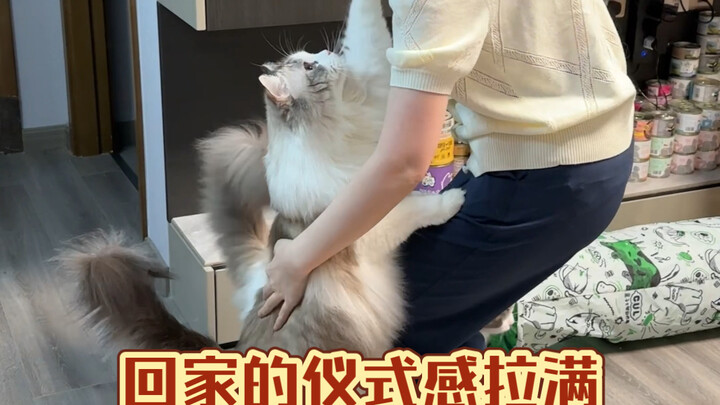 Ôm không xuể (˶‾᷄ ⁻̫ ‾᷅˵) Thật sự ôm không xuể