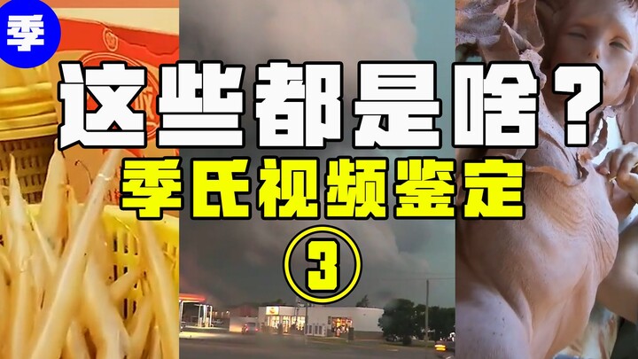 【Apa ini】Apakah mumi putri duyung itu benar-benar asli? Apakah atap yang cekung itu ambruk karena di