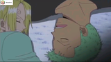 Sanji và Zoro đến lúc ngủ cũng choảng nhau... #onepiece #vuahaitac #shooltime