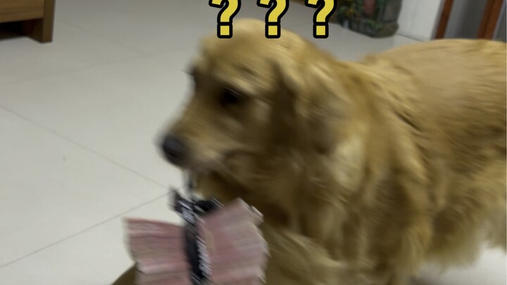 I need legal assistance.