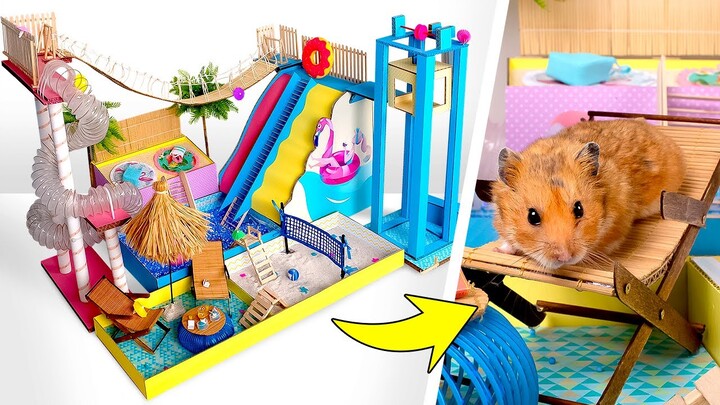TỰ LÀM Công Viên Nước Tuyệt Vời Cho Chuột Hamster Từ Bìa Cứng!