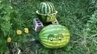 不懂就问，这东西真的有杀伤力吗？
