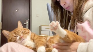 A lump of meat slid down.