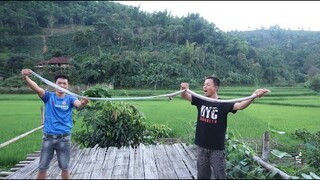 Bất Ngờ Bắt Được Rắn Hổ Nước Tấn Công Ổ Gà Lúc 12 Giờ Trưa | Hoa Ban Tây Bắc