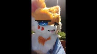 谁说没区别的？头给你打掉