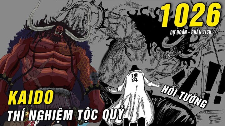 Thí nghiệm chủng tộc Quỷ Kaido , trận chiến Sanji Zoro vs King Queen [ Dự đoán One Piece 1026 ]