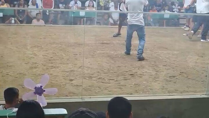 523e37aa-f8b8-4bc0-ab5e-d2d78e9cc387