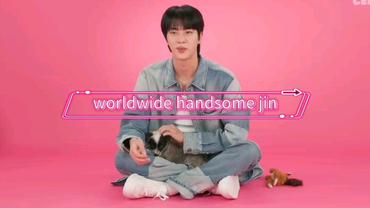 Jin: The Puppy Interview. Too adorable to watch 💜 #김석진 #자기야 #jinbts #worldwidehandsomejin