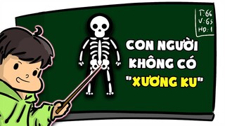 Những sự thật vô dụng bạn không cần biết: