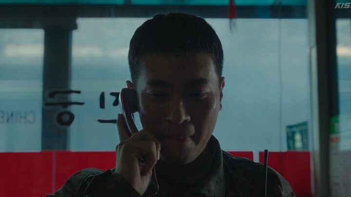 influenza netopia 08