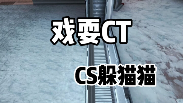 CT怀疑人生了。