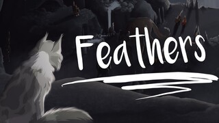 FEATHERS || Complete Feathertail MAP