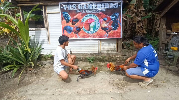 1st Spar Mclean vs Melsims 6 months old