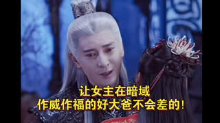 我就知道给女主打扮的漂漂亮亮，让女主在暗域作威作福的好大爸不会差的！