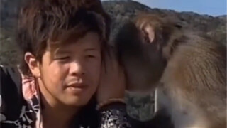 The Whispered Legends