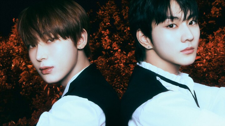 【Enhypen恩嗨盆 】恩静舒适区，bite me 无伴舞版