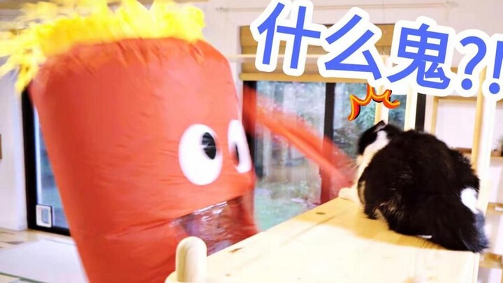 Kamu kira kucing dan pemiliknya pasti hanya satu yang jadi gila? Salah! Di episode ini, mereka berdu