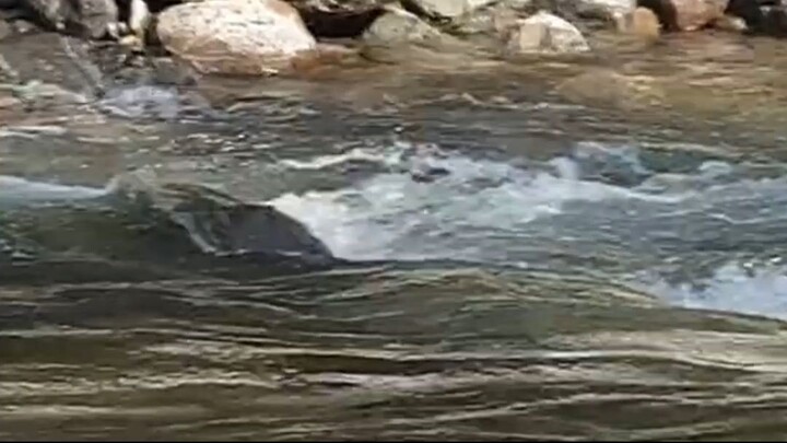 cast net fishing in Nepal \